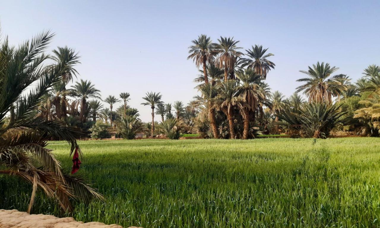 Riad Dar Tiziri Zagora Exterior foto